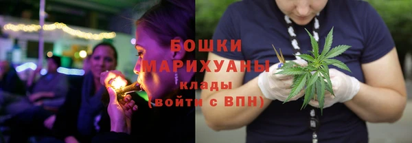 круглые Белокуриха